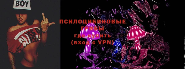 амф Киреевск