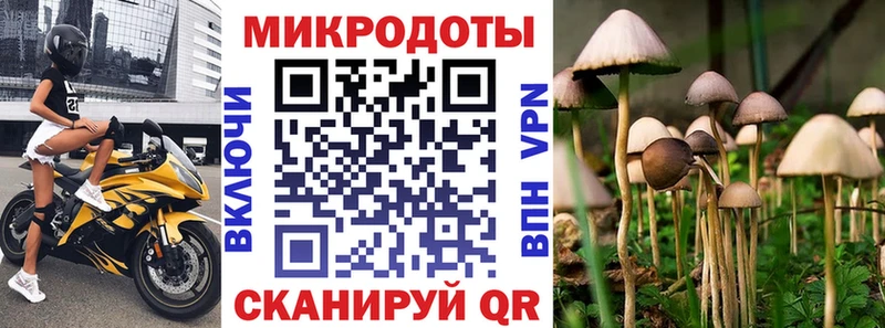 Купить  Елабуга  Псилоцибиновые грибы мухоморы 